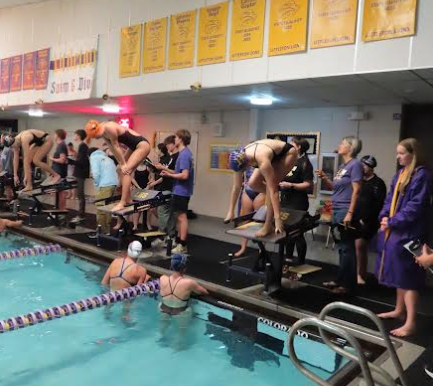 Swimmers prepare to jump off of the block and race.