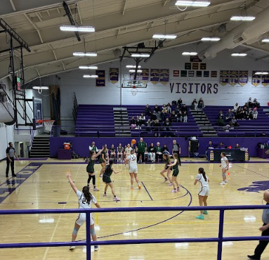 Girls Basketball vs D'Evelyn High School 