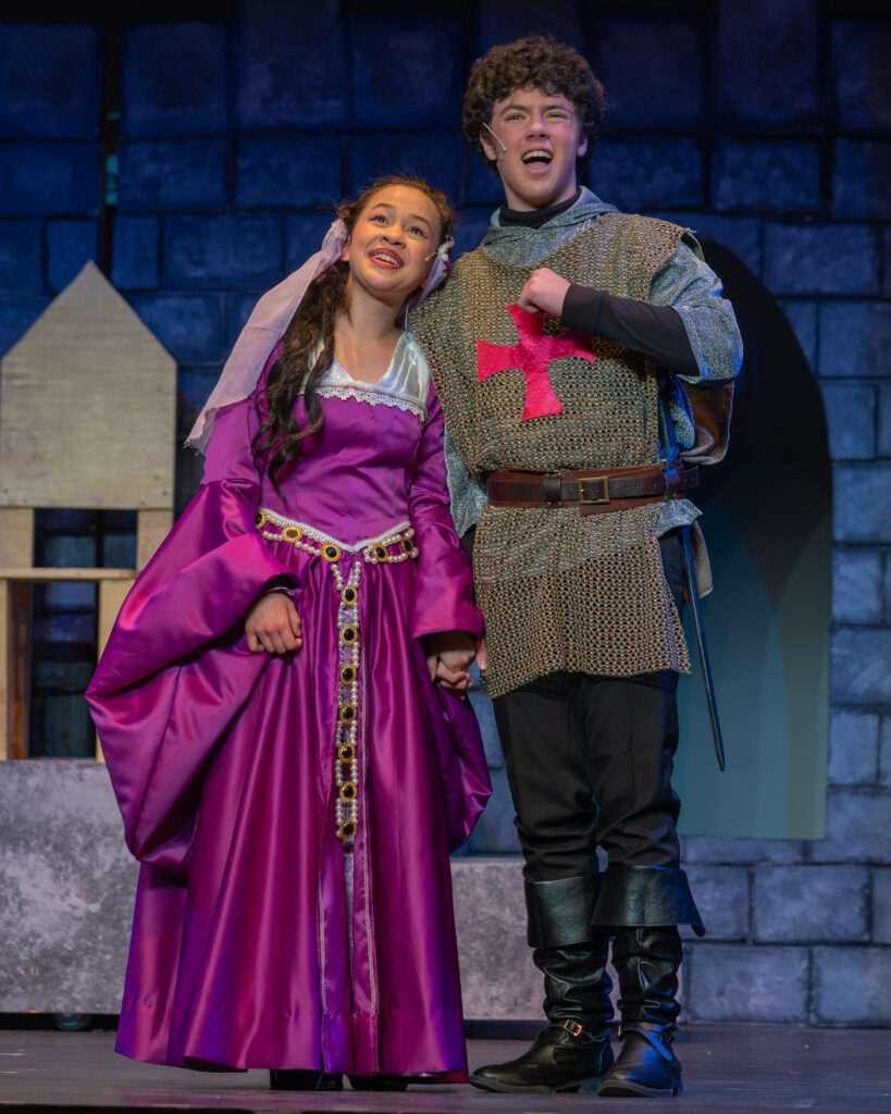 Once Upon a Mattress