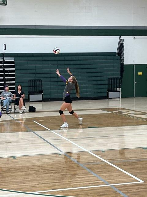 Senior Taryn Fortna hits an oncoming ball