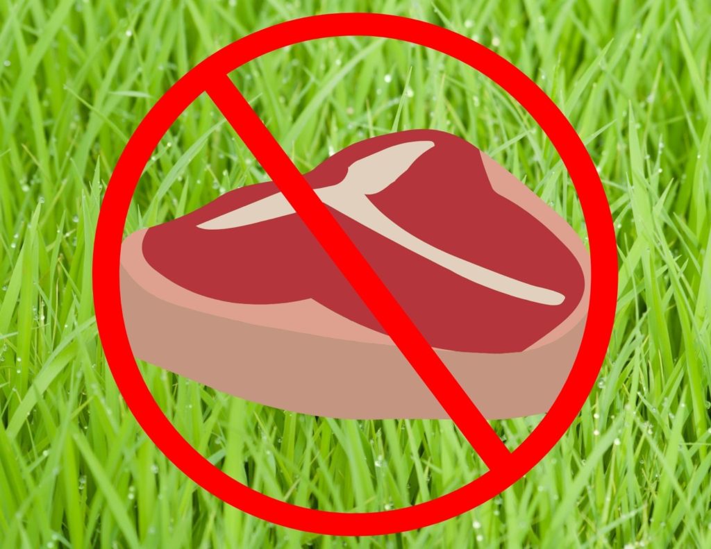 A 'no' symbol lies over a meat illustration, with a grass background