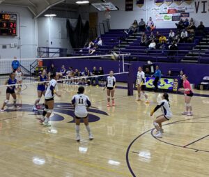 Lions dominating the court