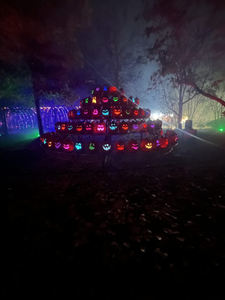 Magic Of The Jack-O Lanterns