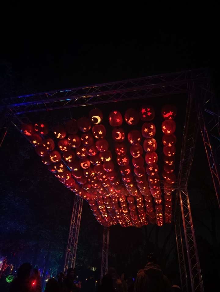 Magic Of The Jack-O Lanterns