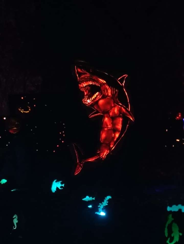 Magic Of The Jack-O Lanterns