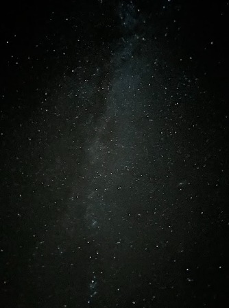 The stars of the Milky Way