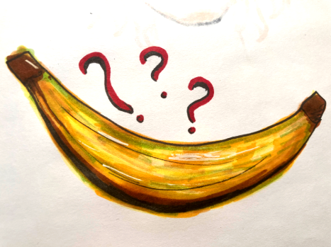 The mystery of the window and the banana