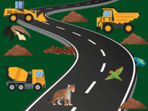 Road through the Amazon Rainforest