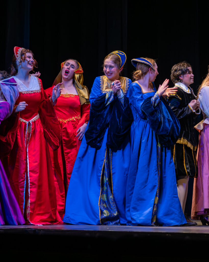 Once Upon a Mattress