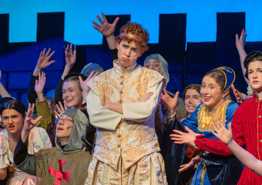 Once Upon a Mattress