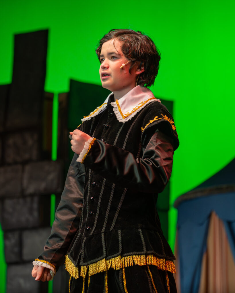 Once Upon A Mattress