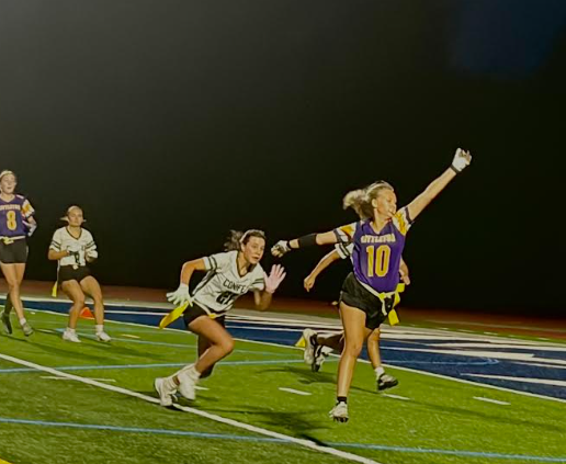 The Lions jump to catch the ball.